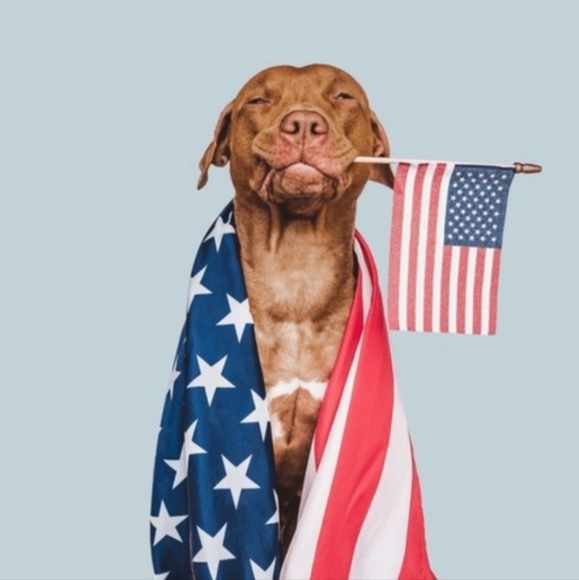 π XXL VS Very Sexy Strappy Back High-Leg Thong Panty π - Picture 12 of 13